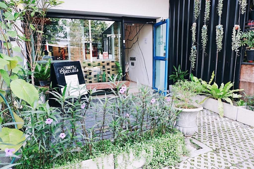 Bloomz Hostel เชียงใหม่ ภายนอก รูปภาพ